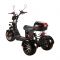 Электроскутер трехколесный CityCoco SkyBoard Trike BR60-3000 PRO